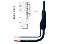 興業分支電纜 興業分支電纜